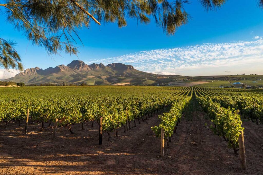 cape winelands 3lunas sudafrica 1.jpg