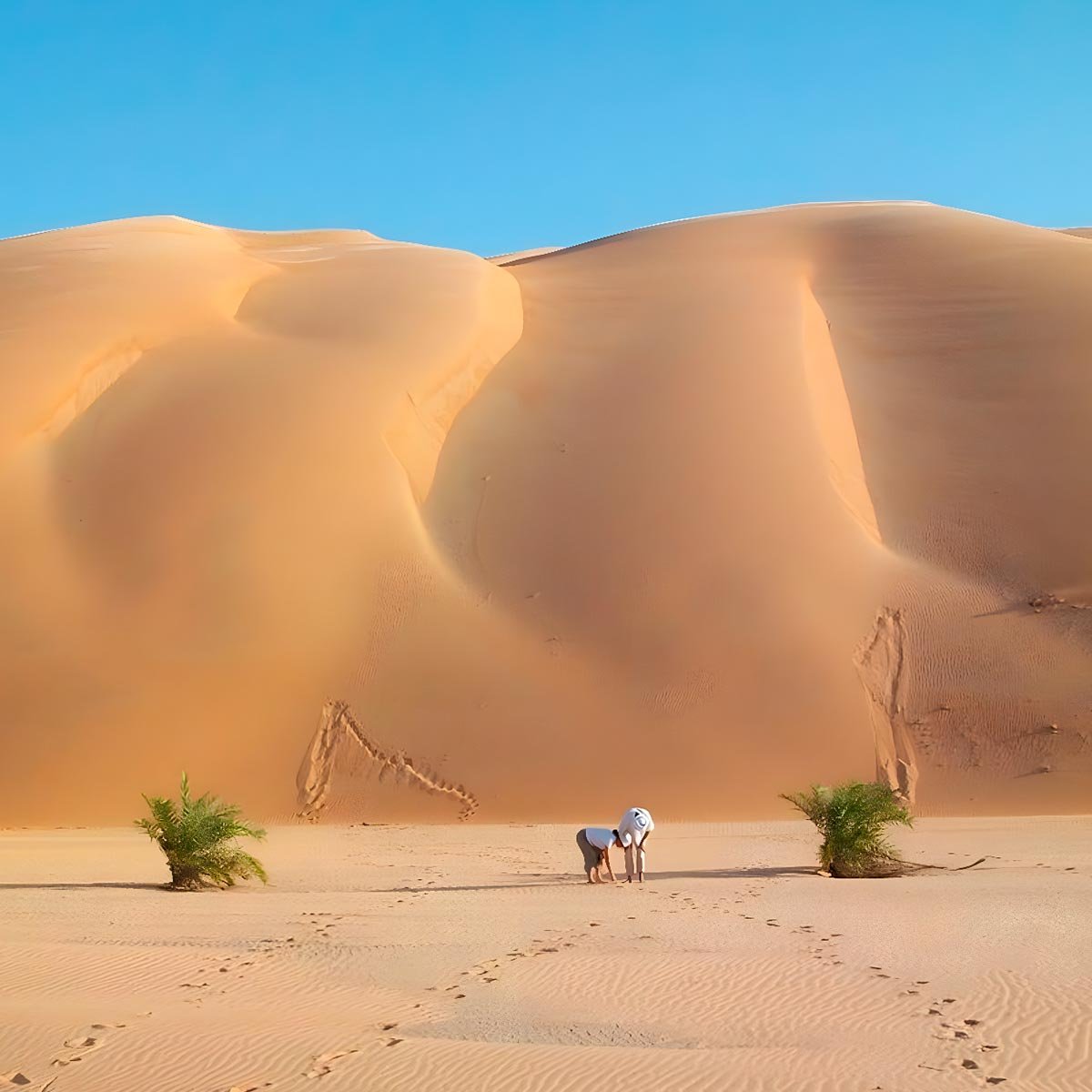 dunas en mauritania servicios