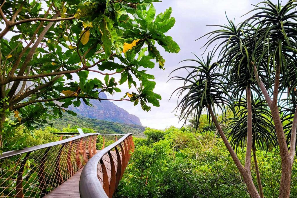 jardines botanicos de kirstenbosch 3lunas sudafrica 1.jpg