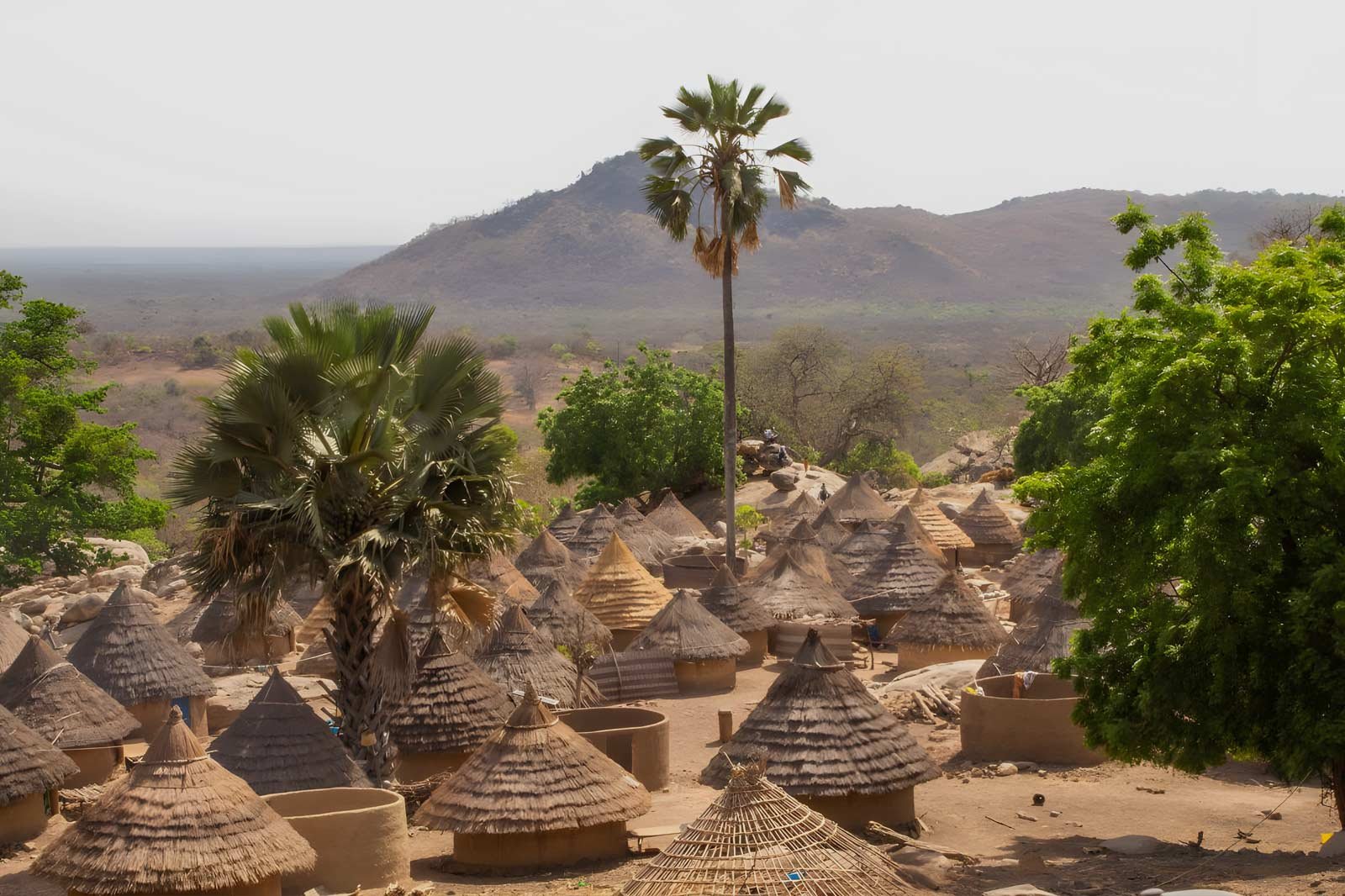 Senegal Bassari