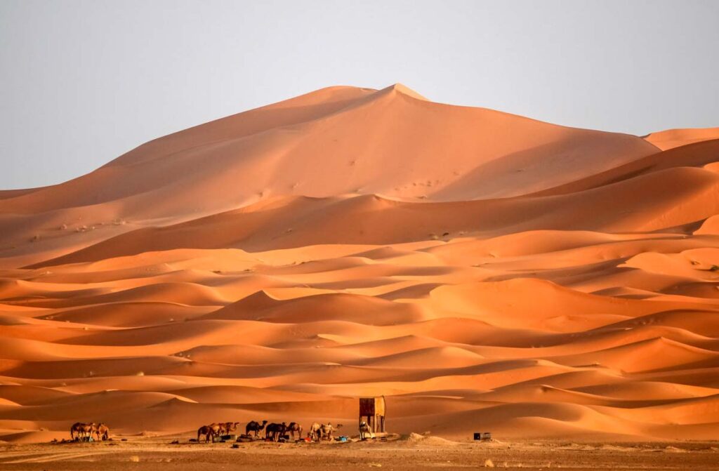 desierto de merzouga