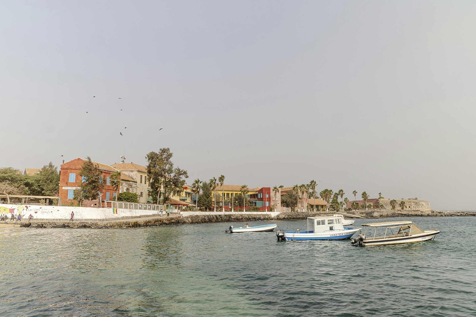 pais bassari 3lunas header
