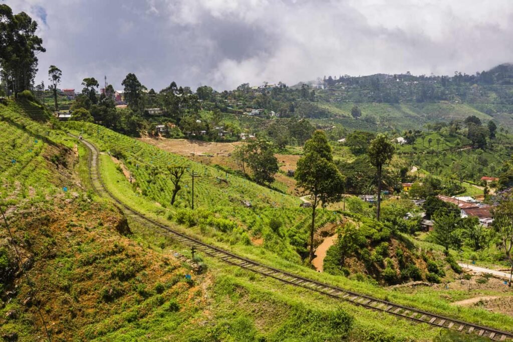 nuwara eliya
