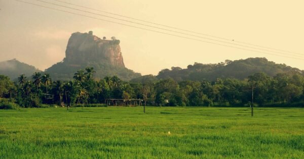 9-Day Tour in Sri Lanka
