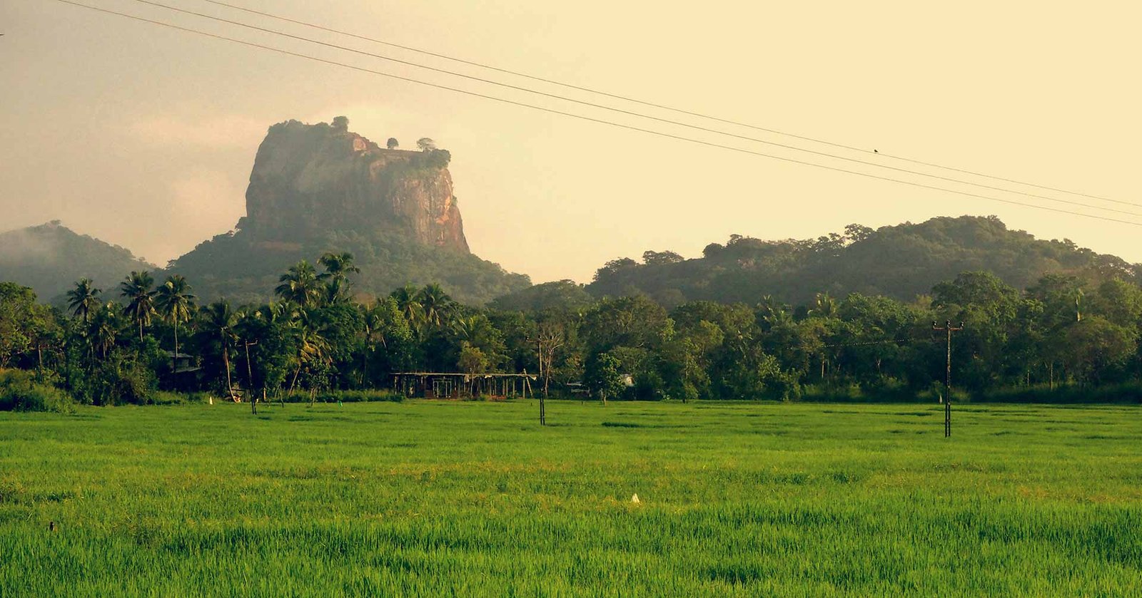 9-Day Tour in Sri Lanka