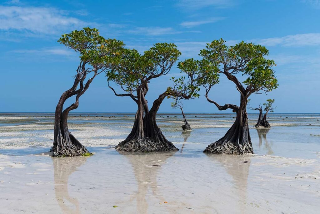 3 lunas viajes sumba walakiri