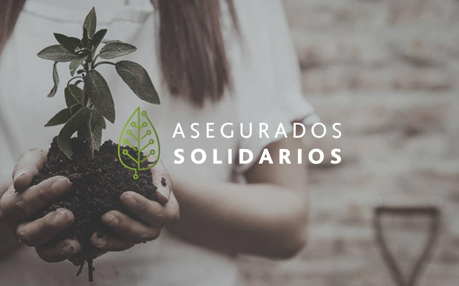 Viajar con seguridad y valores: Nuestra alianza con Asegurados Solidarios